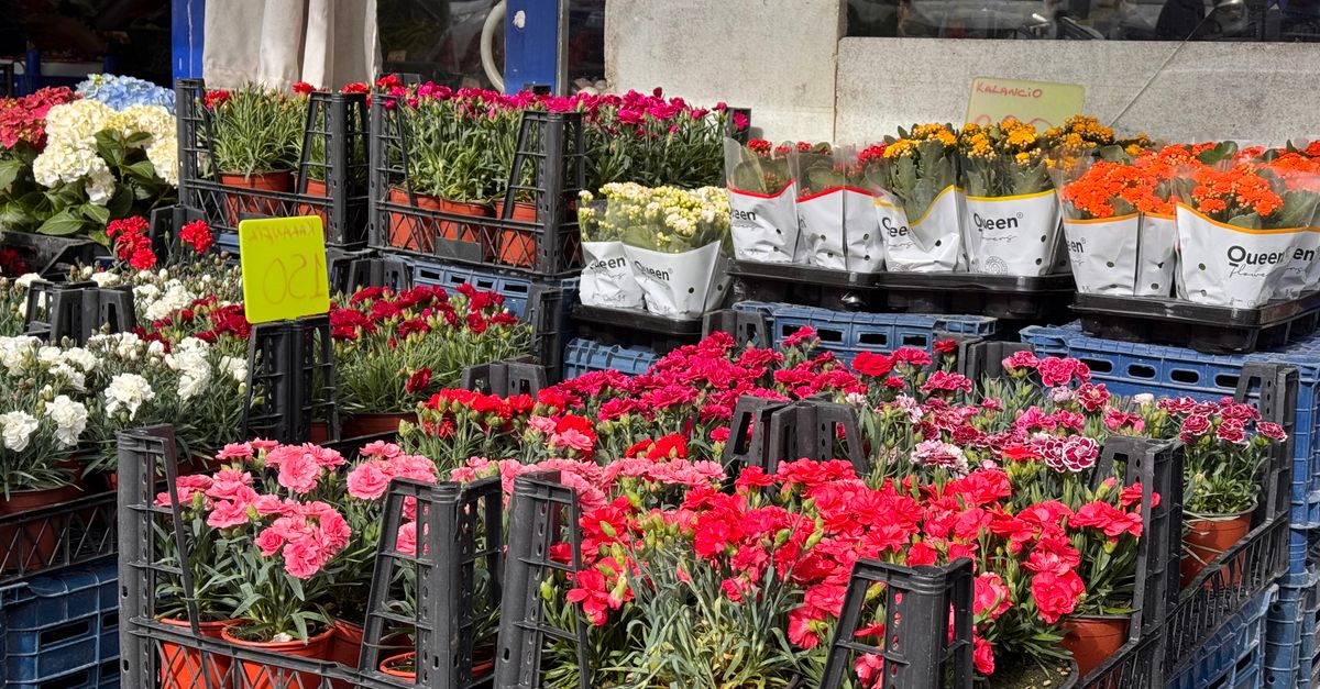 Racheter une boutique de fleuriste : le guide complet du repreneur